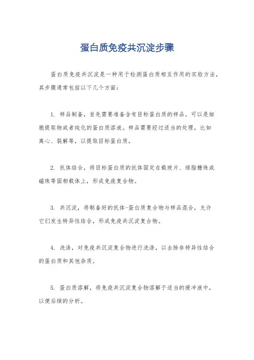蛋白质免疫共沉淀步骤