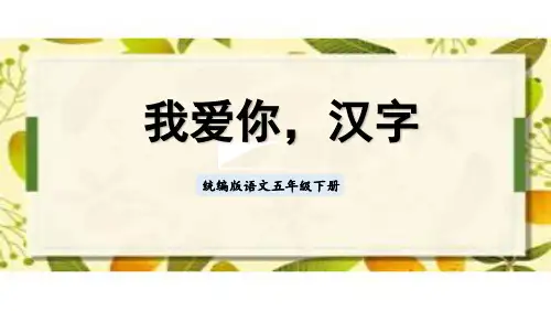 统编版五年级下册第三单元综合性学习：遨游汉字王国 我爱你,汉字 课件(共58张PPT).ppt