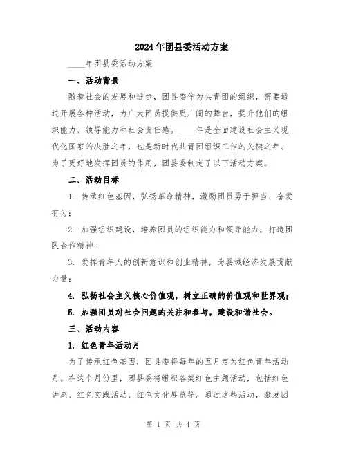 2024年团县委活动方案