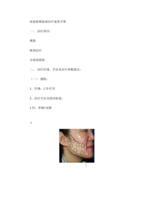 以色列飞顿深蓝速查手册