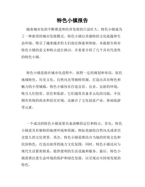 特色小镇报告