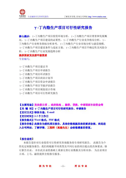 γ-丁内酯生产项目可行性研究报告