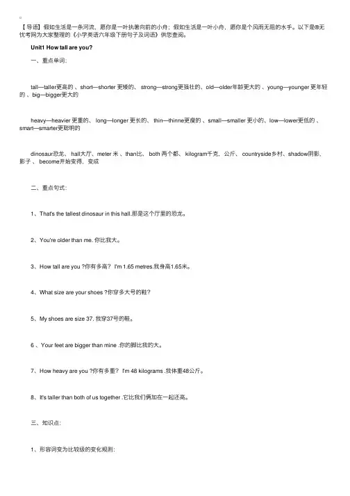 小学英语六年级下册句子及词语