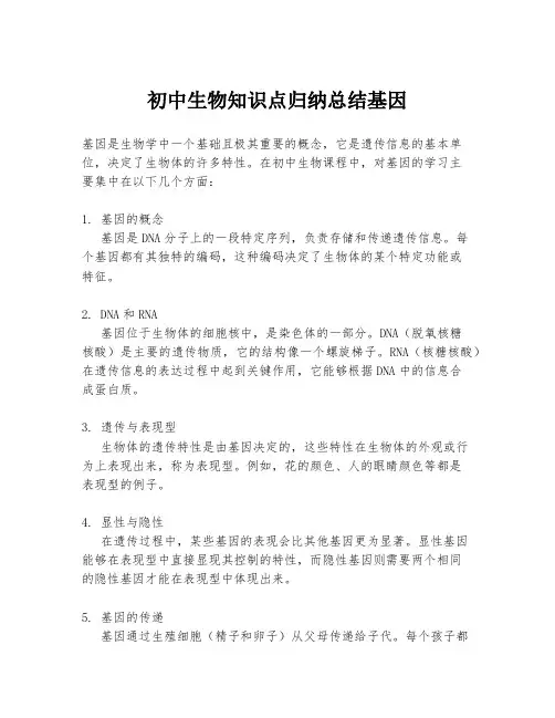 初中生物知识点归纳总结基因