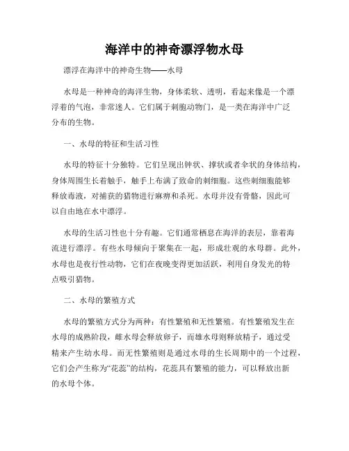 海洋中的神奇漂浮物水母