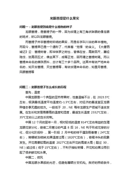 龙眼菩提是什么果实