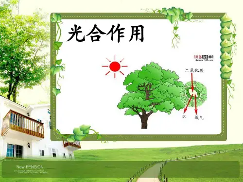 光合作用 2