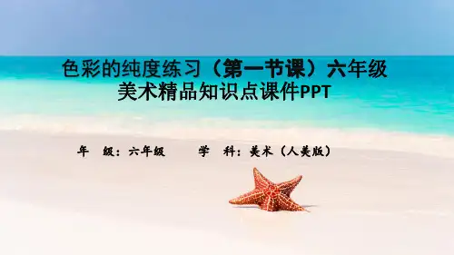 色彩的纯度练习(第一节课)六年级美术精品知识点课件PPT
