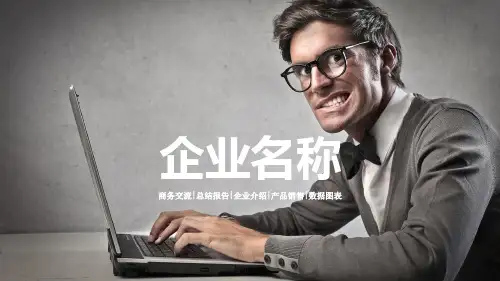 总结报告企业介绍产品销售数据图表PPT模板