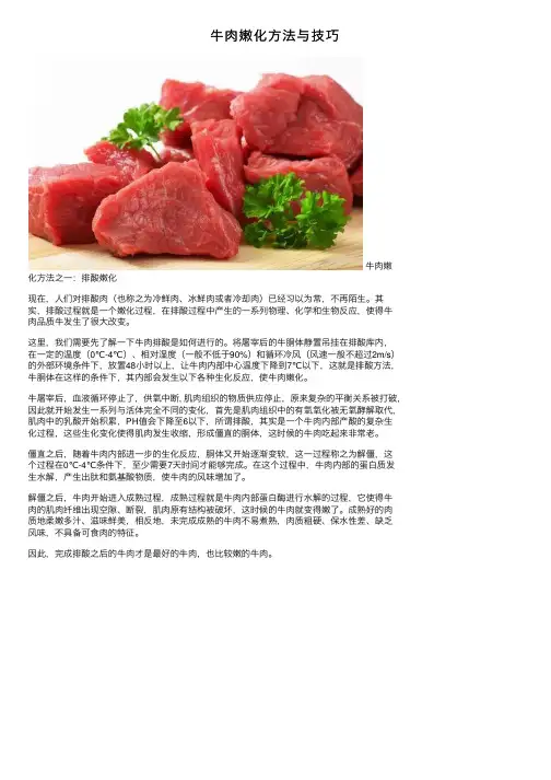 牛肉嫩化方法与技巧