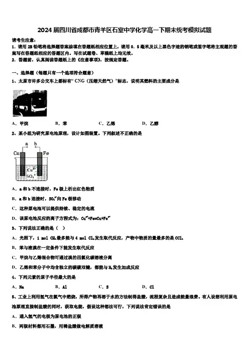 2024届四川省成都市青羊区石室中学化学高一下期末统考模拟试题含解析