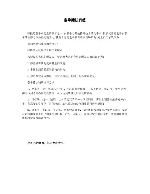 泰拳膝法训练