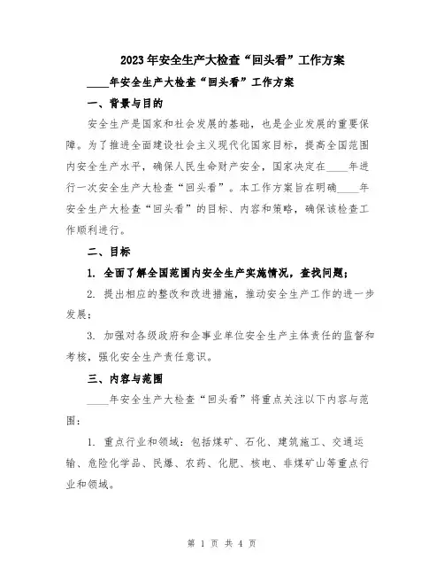 2023年安全生产大检查“回头看”工作方案