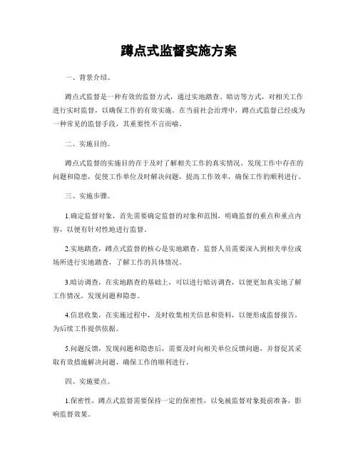 蹲点式监督实施方案