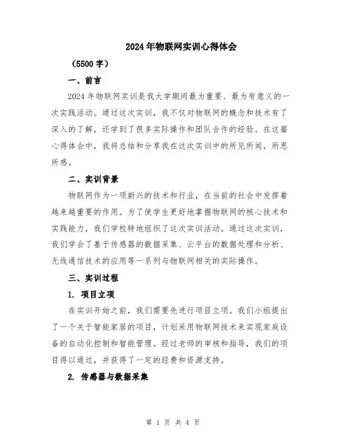 2024年物联网实训心得体会