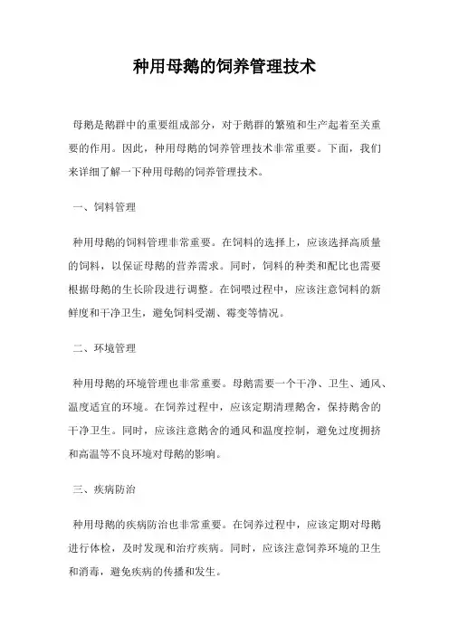 种用母鹅的饲养管理技术