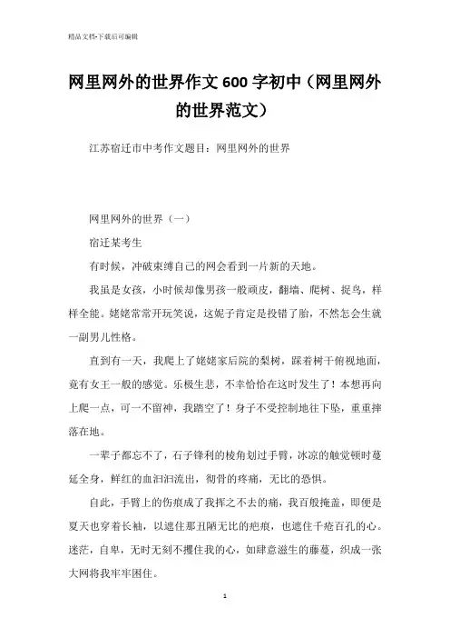 网里网外的世界作文600字初中(网里网外的世界范文)