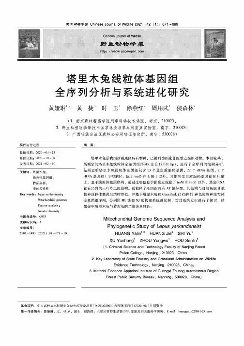 塔里木兔线粒体基因组全序列分析与系统进化研究