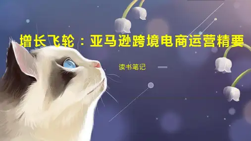 增长飞轮：亚马逊跨境电商运营精要
