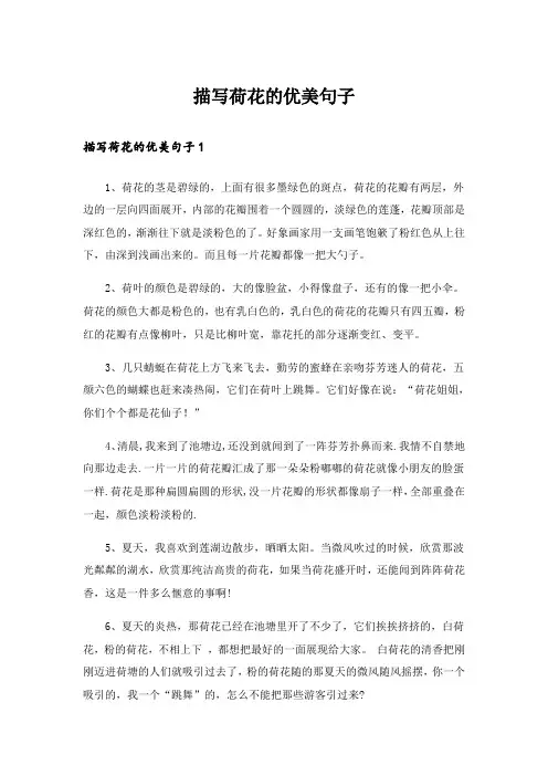 描写荷花的优美句子
