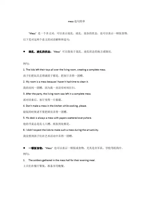 mess造句简单