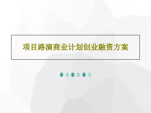 项目路演商业计划创业融资方案22页PPT