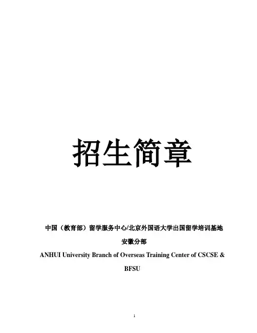 项目概况