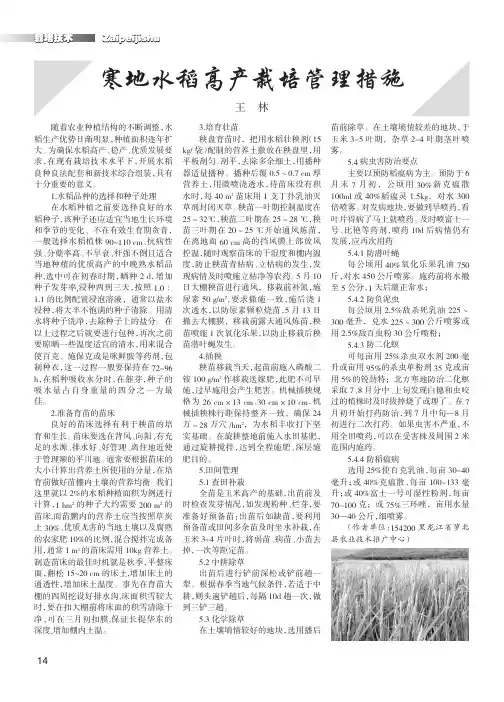 寒地水稻高产栽培管理措施