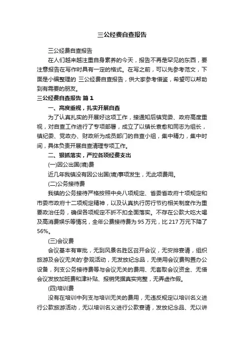 三公经费自查报告