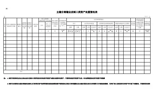 资产处置情况表-明细表