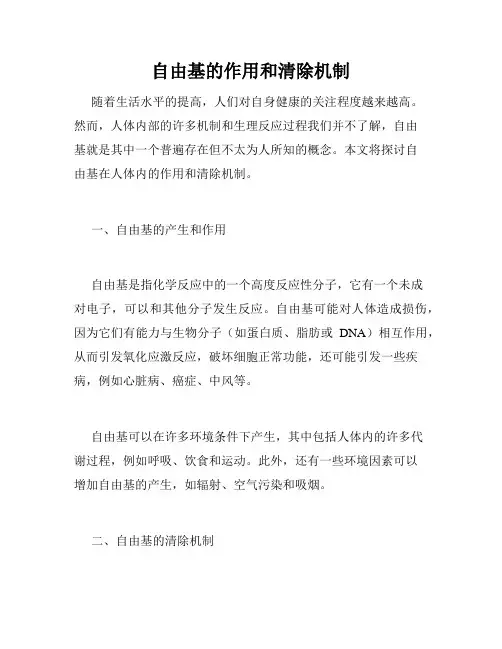 自由基的作用和清除机制