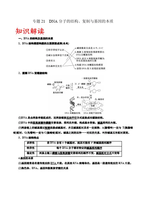 专题21 DNA分子的结构、复制与基因的本质(解析版)