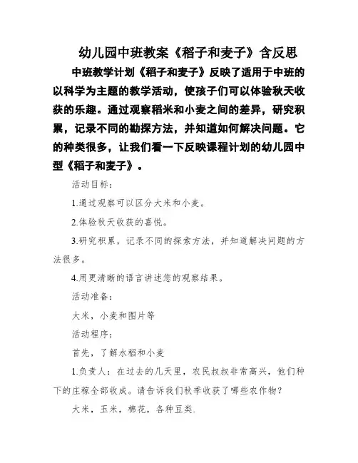 幼儿园中班教案《稻子和麦子》含反思