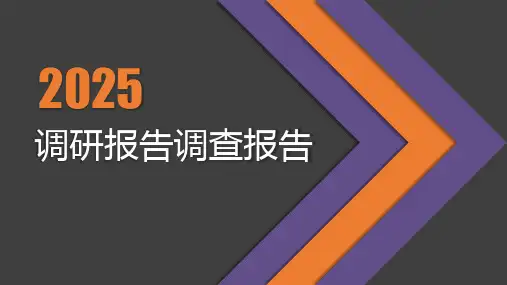 调研报告调查报告PPT