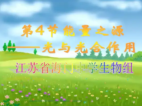 捕获光能的色素和结构PPT优选课件