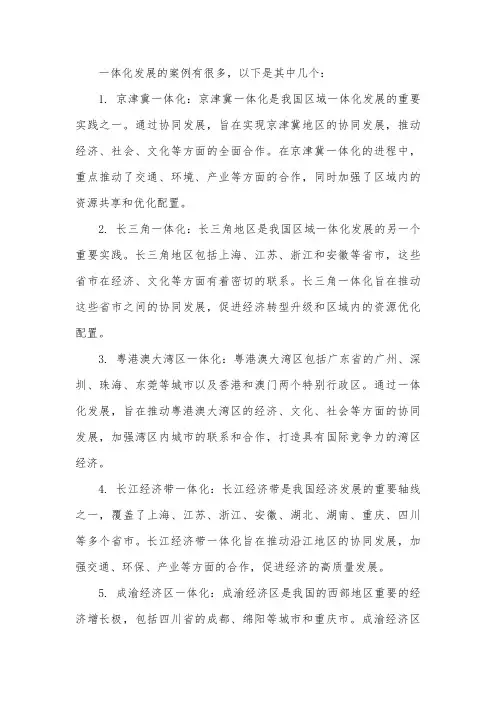 一体化发展的案例