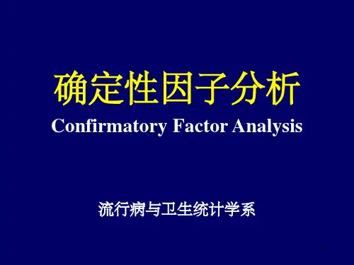 《确定性因子分析》PPT课件