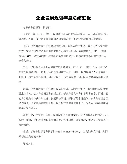 企业发展规划年度总结汇报
