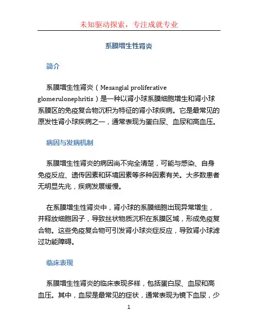 系膜增生性肾炎