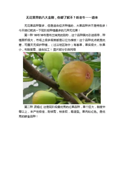 无花果界的八大金刚，你都了解不？听老牛一一道来