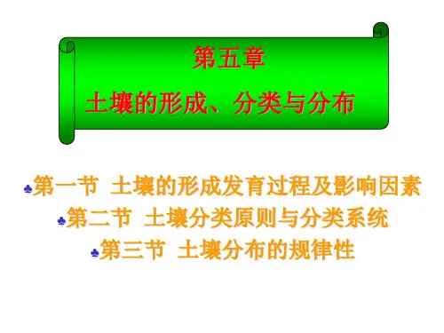 土壤的形成发育过程及影响因素