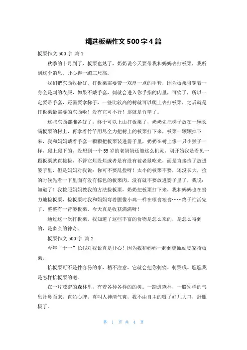 精选板栗作文500字4篇