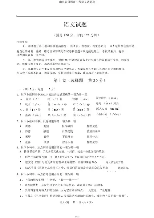 山东省日照市中考语文试题及