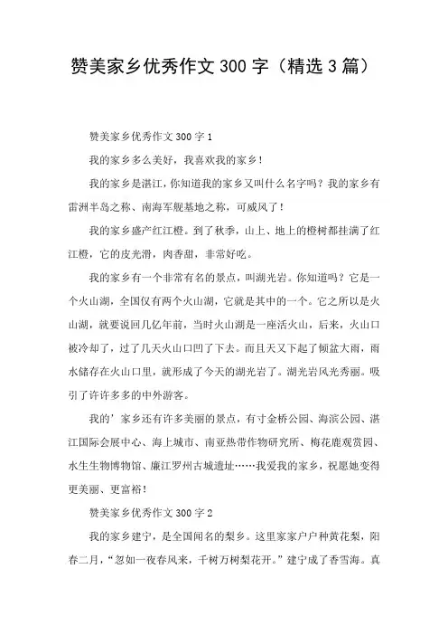 赞美家乡优秀作文300字(精选3篇)
