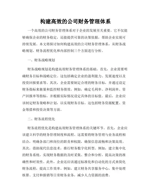 构建高效的公司财务管理体系