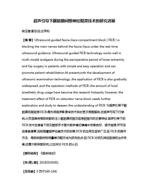 超声引导下髂筋膜间隙神经阻滞技术的研究进展