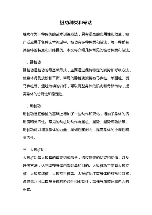 桩功种类和站法