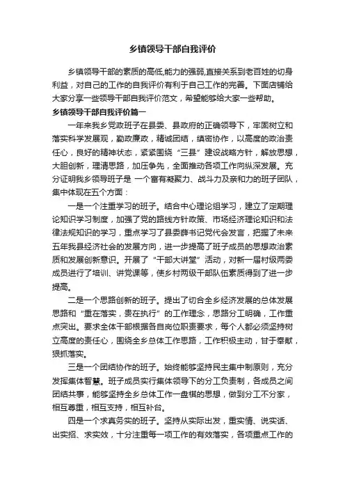 乡镇领导干部自我评价