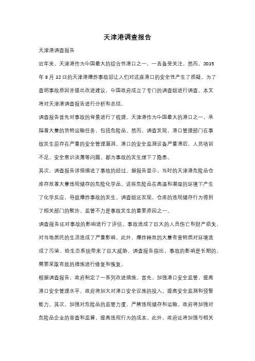 天津港调查报告