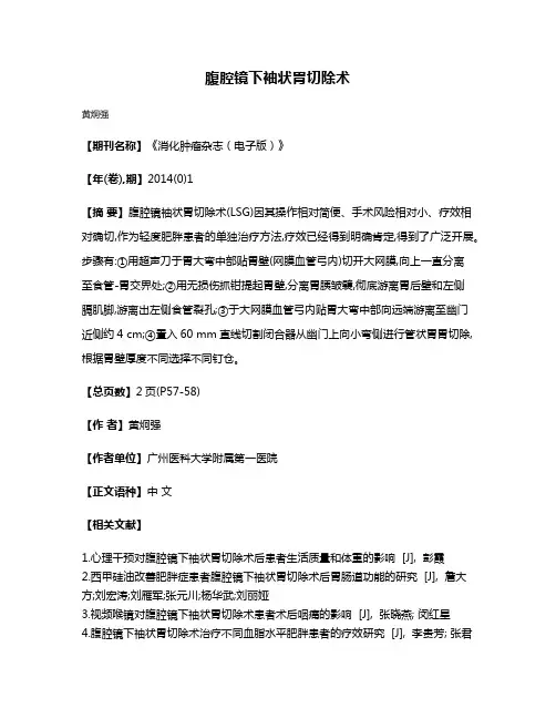 腹腔镜下袖状胃切除术